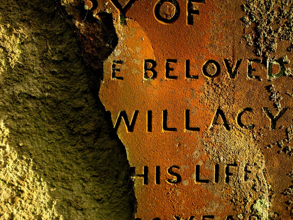 Beautiful decay: Notes on Darren Andrews’ “Beloved”